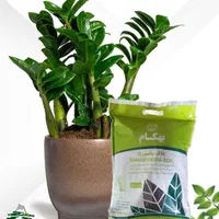 فروش گل گیاه خدمات طراحی فضای سبز باغبانی|خدمات باغبانی و درختکاری|تهران, شهرک غرب|دیوار