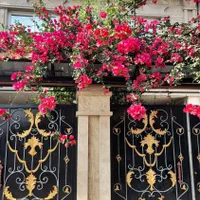 اجاره سوییت کوتاه مدت