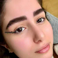 میکرو فیبروز مویی خط چشم رژلب لیفت تتو بدن آموزش|خدمات آرایشگری و زیبایی|نیشابور, دارایی|دیوار