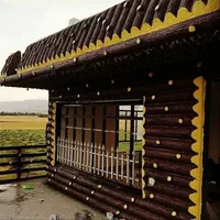 اجرای سیمان بری و رنگ زنی|خدمات پیشه و مهارت|خمینی‌شهر, |دیوار