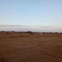 فروش ۱ هکتار زمین در تاکستان|فروش دفتر صنعتی، کشاورزی، تجاری|تاکستان, |دیوار