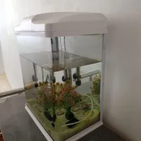 اکواریوم
