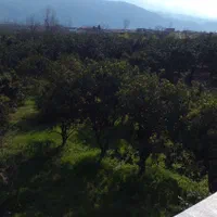 اجاره روزانه/هفتگی/ماهانه آپارتمان ۹۰ متری|اجارهٔ کوتاه‌مدت آپارتمان و سوئیت|کردکوی, |دیوار