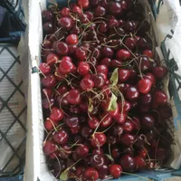 تامین و ارسال میوه و تره بار از میدان مرکزی|خوردنی و آشامیدنی|تهران, شهرک شریعتی|دیوار