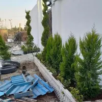 خدمات باغبانی تمام نقاط تهران گل کاری هرس خاکگلدان