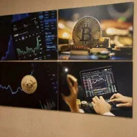 آموزش ترید ارز دیجیتال کریپتو|خدمات آموزشی|تبریز, |دیوار