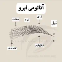 آموزش میکروبلیدینگ، فیبروز، شیدلب، خط چشم، بن مژه|خدمات آموزشی|کرج, گوهردشت|دیوار