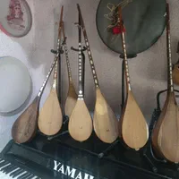 آموزش دوتار خصوصی