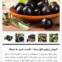 فروش عمده زیتون و روغن زیتون|خوردنی و آشامیدنی|رشت, نخودچر|دیوار