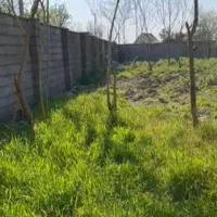زمین روستایی هزار متری سند دار|فروش زمین و ملک کلنگی|رشت, پیرسرا|دیوار