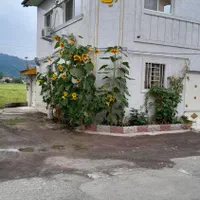 اجاره شبانه و روزانه سوییت در لنگرود