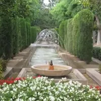 خدمات تخصصی سمپاشی باغچه گلخانه ویلا منزل کاشت گل|خدمات باغبانی و درختکاری|سنندج, |دیوار
