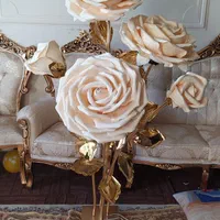 گل فومی کنار سالنی