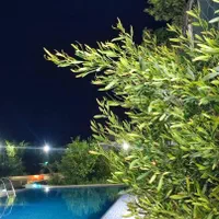 اجاره ویلا باغ فول امکانات(استخردار)