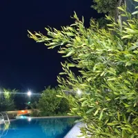 اجاره ویلا باغ فول امکانات(استخردار)