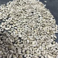 مغز تخمه آفتابگردان شمشیری و روغنی سالم و شکسته|خوردنی و آشامیدنی|تهران, منصوریه (پل سیمان)|دیوار