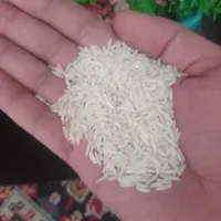 برنج هاشمی