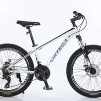 مرکزپخش انواع دوچرخه کمکدار دیسکی.مشروطه.طالقانی.