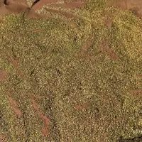 دون کبوتری سالم و تمیز|لوازم جانبی حیوانات|کوهدشت, |دیوار