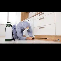 سم پاشی حشرات منزل به صورت تضمینی