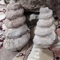 فسیل گاسترپود حلزون و لیمونیت و...