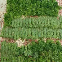 سفارش سبزی به صورت کلی، ویژه رستوران و سوپرمارکت|خوردنی و آشامیدنی|سبزوار, مدرس|دیوار