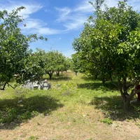 ۶۰۰ متر زمین خوش قواره دیوار به دیوار بافت مسکونی