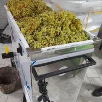 آبگوجه گیر صنعتی و آبغوره گیر و+سبزی خردکن بشقابی|فروشگاه و مغازه|یزد, |دیوار
