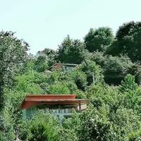 ویلای جنگلی در روستای بشل سوادکوه|اجارهٔ کوتاه‌مدت ویلا و باغ|شیرگاه, |دیوار