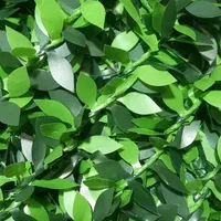 فنس برگ ریحون فنس چمنی برگی عمده|مصالح و تجهیزات ساختمان|شهریار, کردزار|دیوار