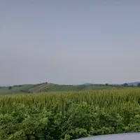 ۴۰۰۰متری کشاورزی روستای زیبای قلندر ایش کردکوی|فروش زمین و ملک کلنگی|کردکوی, |دیوار