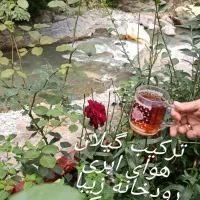 ویلا  کناررودخونه اجاره روزانه ماهیانه سالیانه|اجارهٔ کوتاه‌مدت ویلا و باغ|رشت, گلباغ نماز|دیوار
