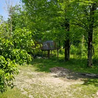 ویلا جنگلی دربست شادنشین طبیعت بکر|اجارهٔ کوتاهمدت ویلا و باغ|شفت, |دیوار