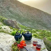 چای میوه ای ویتاسیب  فروش بصورت تکی عمده ای|خوردنی و آشامیدنی|اصفهان, عمان سامانی|دیوار
