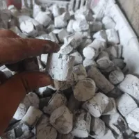 پخش زغال مرکبات در شهر بندرعباس