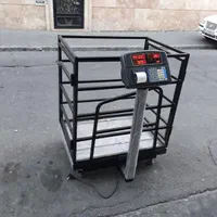 باسکول ترازو پرینتر دار ۸۰۰ کیلو دیجیتال آکبند|فروشگاه و مغازه|تهران, استاد معین|دیوار