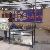 ماهی کپور. قرمز. کوی.|ماهی|سمنان, |دیوار