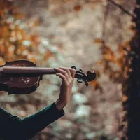 آموزش ویلن|خدمات آموزشی|شیراز, حافظیه|دیوار