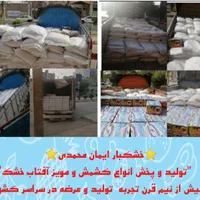 پخش عمده کشمش ومویز آفتاب خشک(افتابی)|عمده‌فروشی|اهواز, سلطانمنش|دیوار