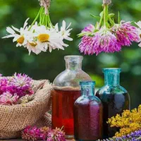 آموزش گیاهان دارویی و داروسازی گیاهی|خدمات آموزشی|تهران, جمهوری|دیوار