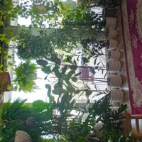 اجاره ویلا تریپلکس چهار خوابه ساحلی  چمخاله گیلان|اجارهٔ کوتاه‌مدت ویلا و باغ|چاف و چمخاله, |دیوار
