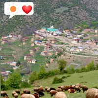 زمین ییلاقی  و جنگلی در سوادکوه|فروش زمین و ملک کلنگی|تهران, هروی|دیوار