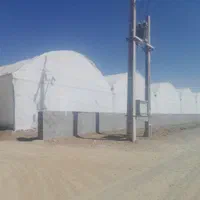 فروش گلخانه  ۳۰۰۰ متری