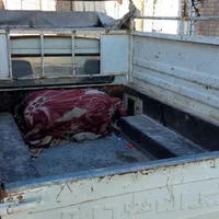 گیربکس استارت دینام کپسول cng باربند رادیات ایسیو|قطعات یدکی و لوازم جانبی|شهرکرد, |دیوار