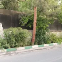۵۰۰ زمین با لوکیشن استثنایی - مسکن صحرا(کمالی)|فروش زمین و ملک کلنگی|لواسان, |دیوار