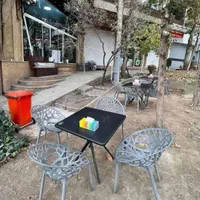 میز و صندلی ناهارخوری پلاستیکی شاخ و برگی کافه|کافی‌شاپ و رستوران|تهران, خرمشهر|دیوار