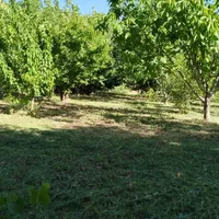 فروش باغ ۳۵۰۰متری شهرکرد محدوده پل زمانخان|فروش زمین و ملک کلنگی|شاهین‌شهر, شهرک گلدیس|دیوار