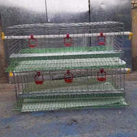 انواع قفس مرغ و بلدرچین|لوازم جانبی حیوانات|اراک, |دیوار