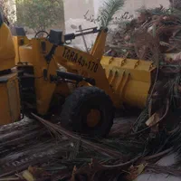 قطع وهرس انواع نخل ودرختان مزاحم