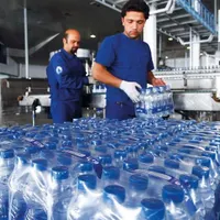 استخدام محدود